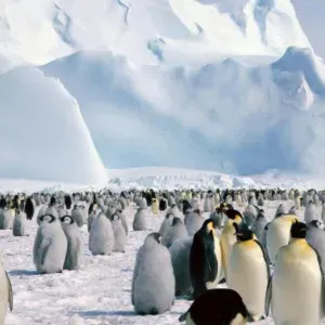 Lavoro tata Riccione