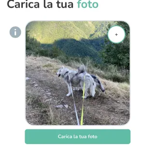 Pet sitting a Prato e provincia