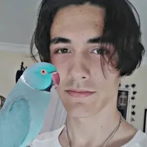 Baby-sitter aux alentours d'Angers