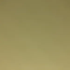 Baby-sitter amusante 