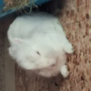 Assistenza anziani Bologna e zone limitrofe