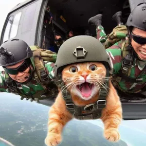 Auxiliaire de vie 