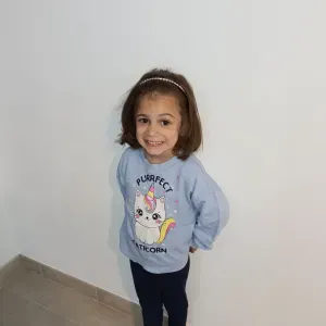 Cerco cat Sitter tra Castelnuovo e peschiera 