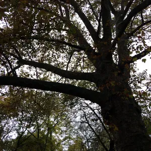 Servizio pulizia casa in autonomia