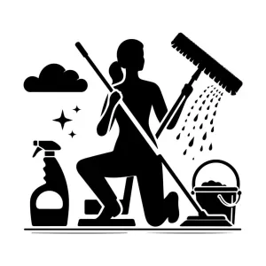 Femme de ménage expérimentée autres 