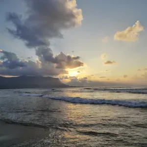 Pet-sitter (chiens, chats, autres) à Illkirch