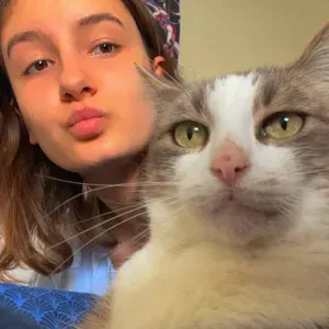 Pet Sitter à Montgermont et alentours