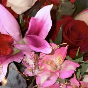 Marie, pet-sitter à Viroflay !