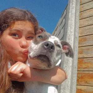 Garde, visite et promène votre animal.