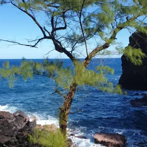 Femme de menage à domicile,souriante er sympahique.