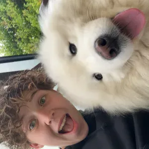 Pet-Sitter dans la zone de compiègne 