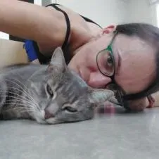 À votre disposition pour petites courses