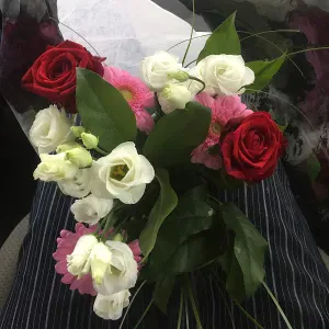 Cuidador de mascotas para contratar en Mijas