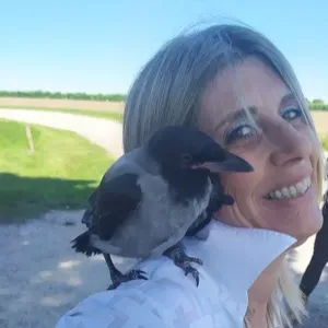 Addetta alle pulizie a Tresigallo 