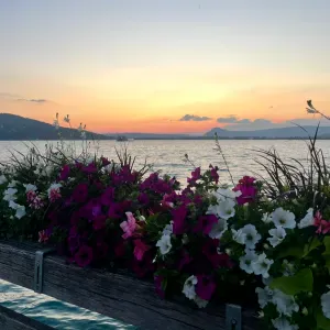 Aide à domicile de confiance :)