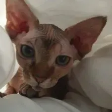 Cuidado personas tercera edad.