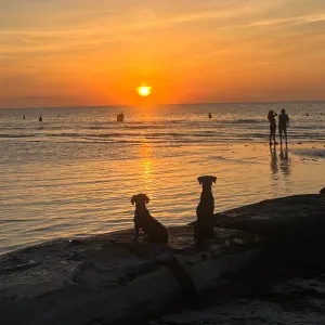 Precisamos de uma cuidadora para os períodos de férias