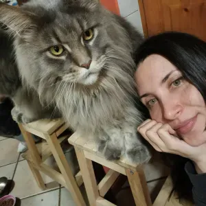 Pet sitting in particolare gatti zona Brianza