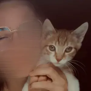 Baby-sitter expérimentée à Saint Nolff