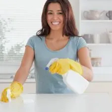 Bonjour je cherche un emploi d'entretien des domicile