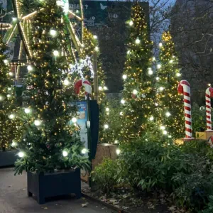 Femme de ménage à cergy 95 et alentours