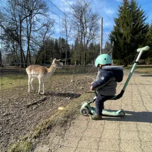 Recherche baby-sitter - garde d'enfants à Cornier