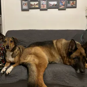 baby sitter situé dans tout le 78 