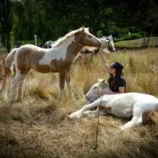 PetSitter non professionnel à Rouans (44640) 