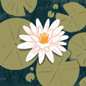 Femme de ménage responsable près de chez vous