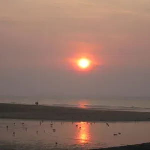 Recherche aide ménagère à Ostende (Mariakerke Bad)