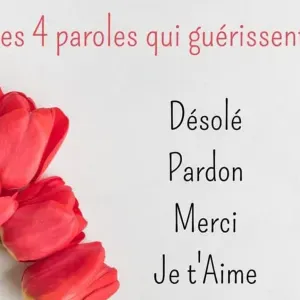 Nounou . Aide personne âgée. Ménages. Cuisine 