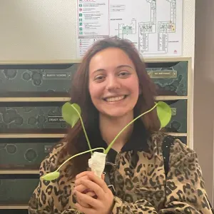 Petsitting Paris – 3 ans d'expérience avec chats et chiens