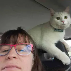 Pet sitter à st georges de bohon 