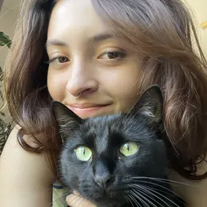 Service de Garde de Chat à Rixensart 