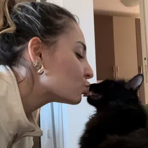 Pet sitter a Palermo nei mesi di luglio e agosto