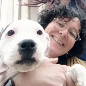 Recherche garde chien ponctuelle