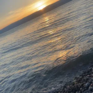 Dame de compagnie pour vos parents 