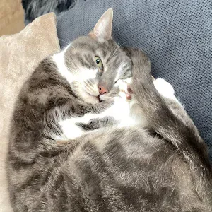 Recherche aide ménagère