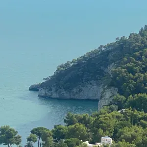 Cerco assistenza domiciliare