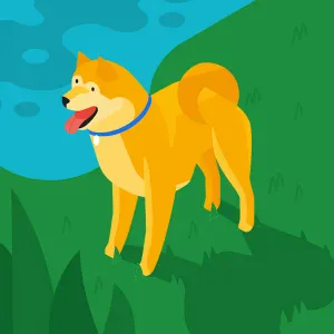 Petsitter job Évora