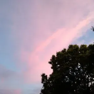 Emploi de Petsitter Forest