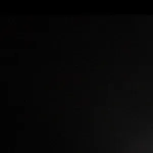 Cuidadora de animales Terrassa