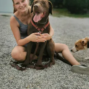 Pet sitting a Gorizia e dintorni