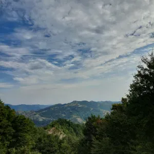 Offerta di lavoro per addetto alla pulizia a Faenza