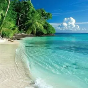 Aide ménagère, aide à domicile