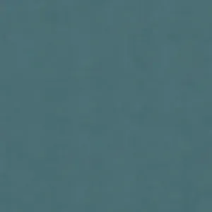 GOUVERNANTE FRANCOPHONE OU ANGLOPHONE, GRIMAUD, FRANCE