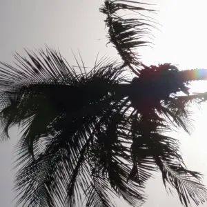 Sortie d'école Paris 12 