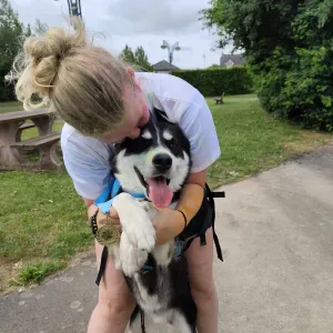 Juliette pet sitter secteur arras