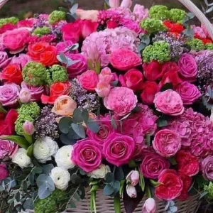 ვარ კეთილი, მომთმენი, თავაზიანი. 