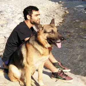 Amoureuse des chiens 🐶 | Promenade & garde avec cœur